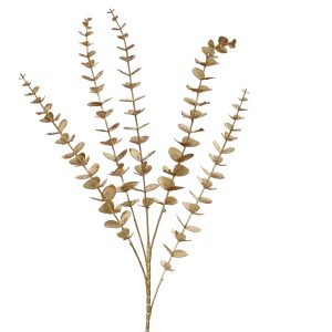 Spray Eucalyptus Gold