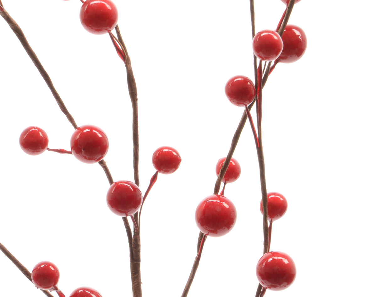 Spray Berries Red - Not Here Yet