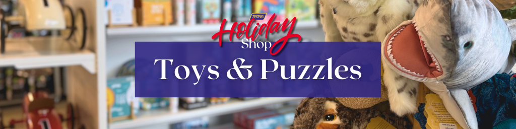 Toys and puzzles at TERRA