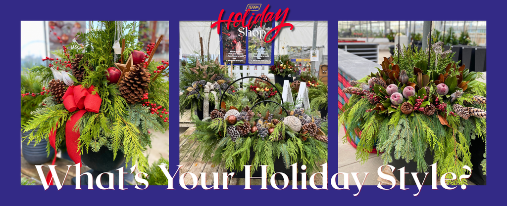 examples of custom designed winter planters with fresh greenery at TERRA