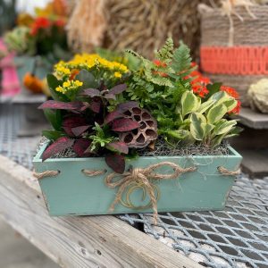 Thankful Garden product image